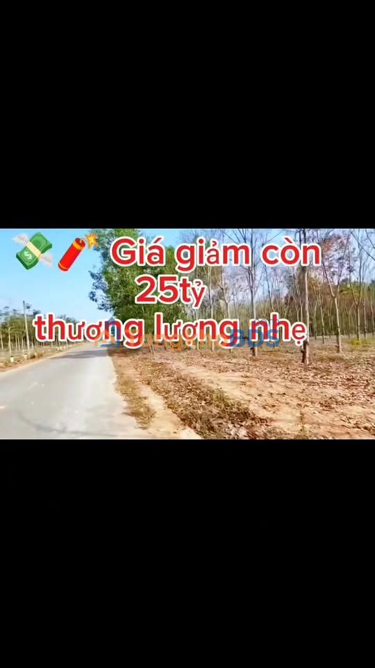 Đất nền Tân Thành Bắc Tân Uyên 18.673m² 25 tỷ - Đường ô tô