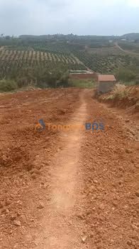 Đất vườn Đắk R'La Đắk Mil 3ha 3.8 tỷ - Đầu tư dài hạn