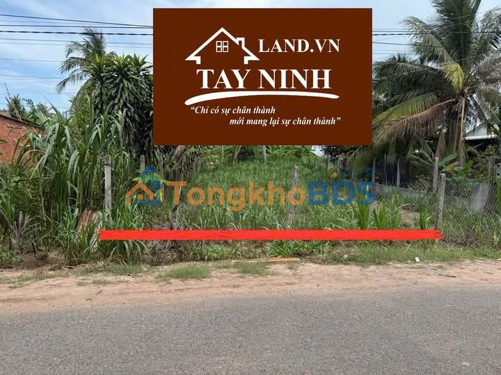 Đất nền DH6 Phước Ninh 168m² 399tr - Sổ đỏ chính chủ