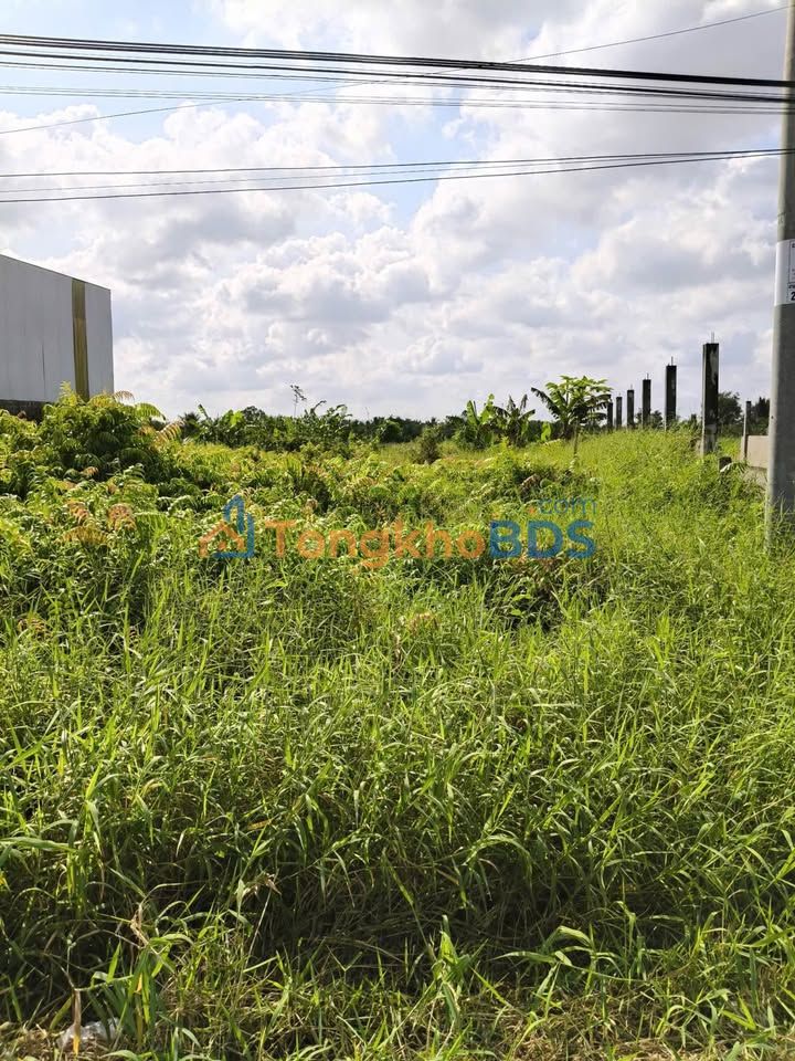 Đất Quản Lộ Phụng Hiệp Hồng Dân 300m² 3.7 tỷ - Sổ hồng riêng