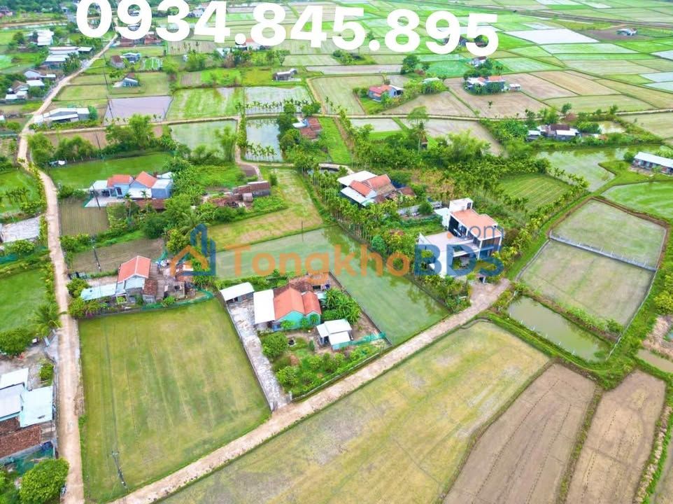 Đất nền Thị trấn Hà Lam 450m² giá thỏa thuận - Đường to ô tô