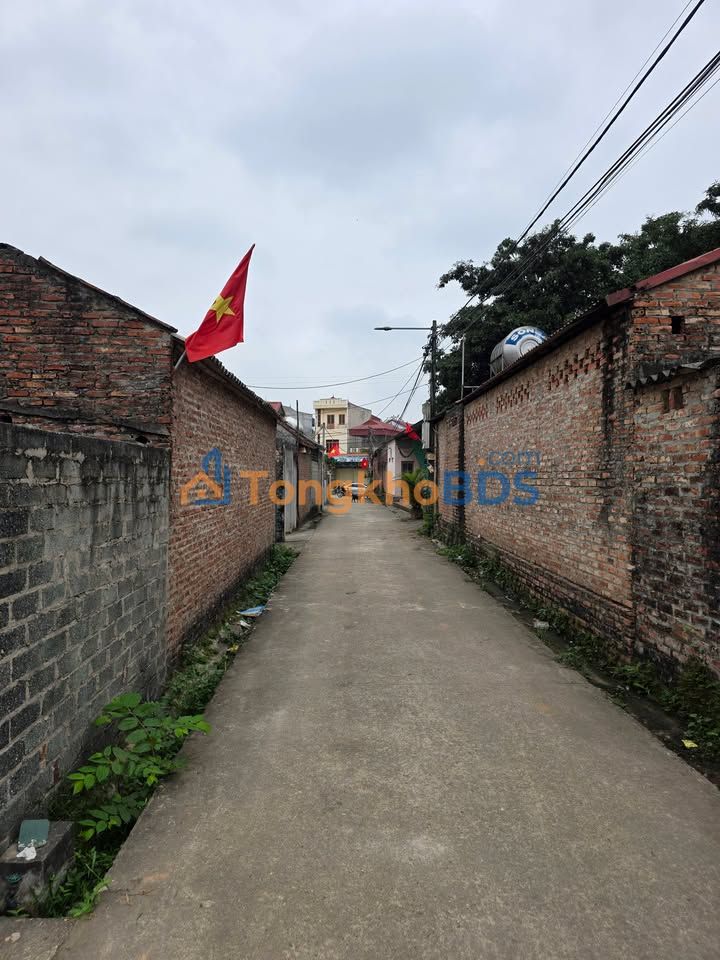 Đất nền Tây Đằng Ba Vì 221m² 221 triệu - Sổ đỏ chính chủ