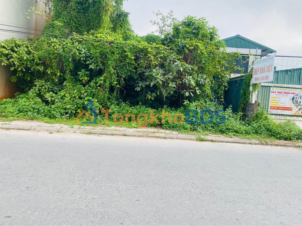 Đất nền Vũ Sơn Trần Lãm 280m² 2 tỷ - Đường ô tô thoáng