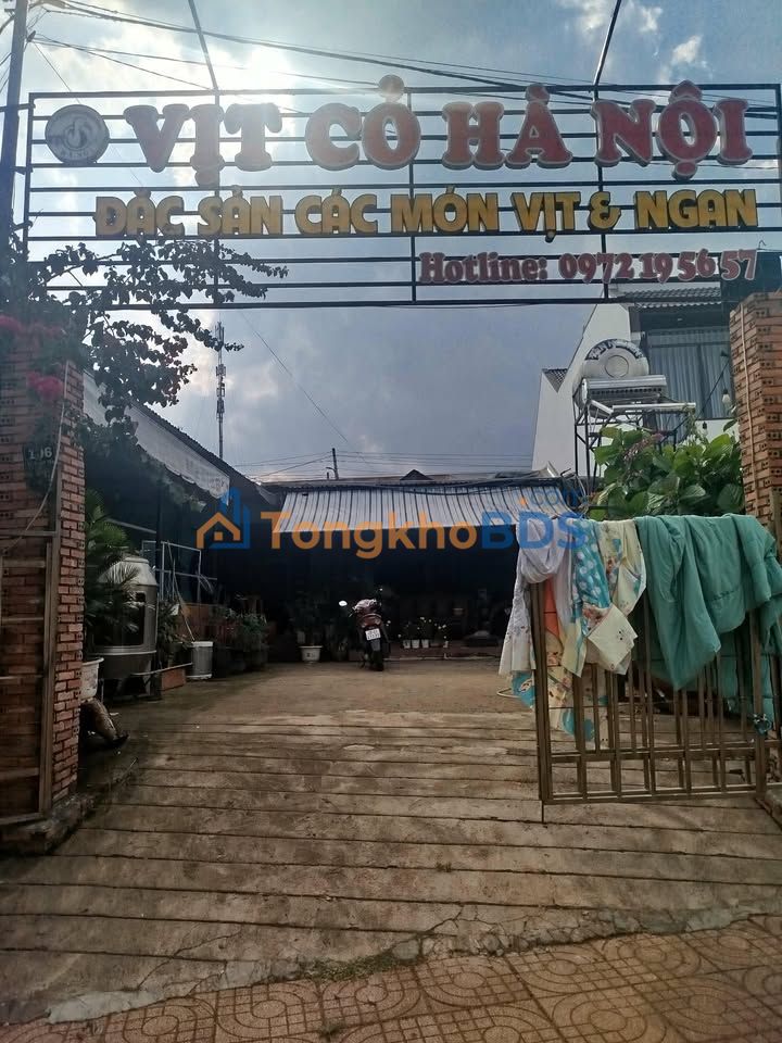 Mặt bằng thuê Tổng Duy Tân Gia Nghĩa 300m² - Mặt tiền kinh doanh