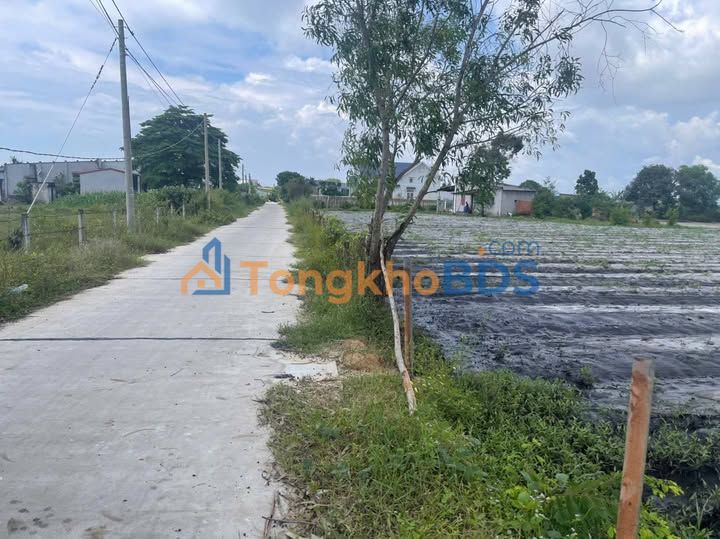 Bán Đất Vàng 12.000m² Mặt Tiền 2 Đường Xã Tân Bình, La Gi - Sổ Hồng Riêng