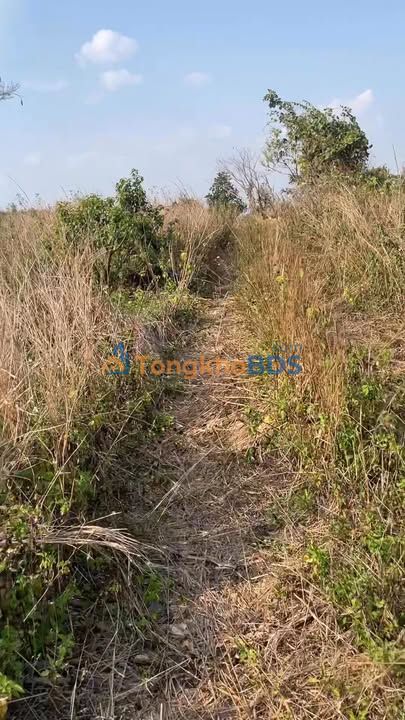 Đất nền Đắk R'La Đắk Mil 1,2ha 899tr - Sổ hồng chính chủ