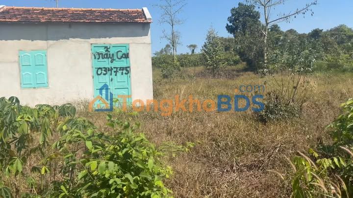 Đất nền xã Krông Nô 540m² giá 750 triệu - Sổ đỏ chính chủ lô hiếm