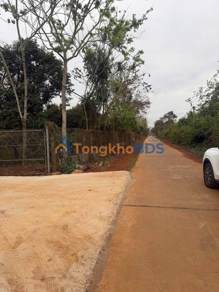 Đất nền Thôn 19/5 Sông Hinh 312m² 1 tỷ - Sổ đỏ chính chủ