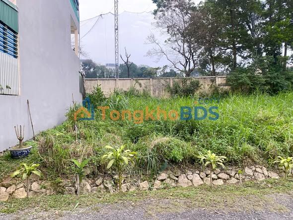 Đất nền Phường Vân Phú Việt Trì 96m² giá 3 tỷ - Sổ đỏ chính chủ