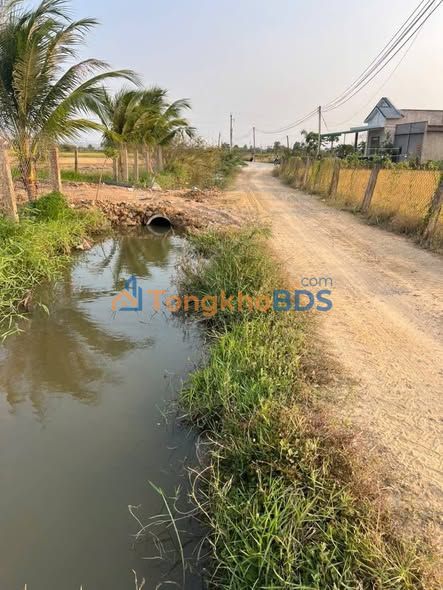 Đất Vườn 1000m² Giáp Mương Nước Mát, Phan Thiết - Chỉ 1.5 Tỷ