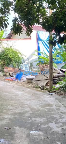 Đất Tân Trường Cẩm Giàng 79m² 900 triệu - Đường ôtô