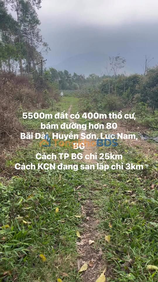 Đất nền Huyền Sơn Lục Nam 5.500m² 1 tỷ - Đường ô tô