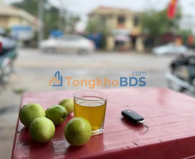 Đất Vàng 249m² Mặt Tiền Đường 7m - Ngay Trung Tâm Bắc Giang