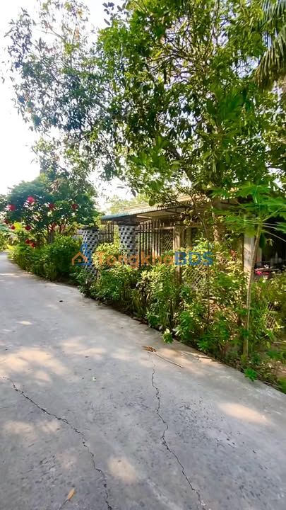 Đất nền Phong Điền Cần Thơ 80m² 590 triệu - Sổ hồng