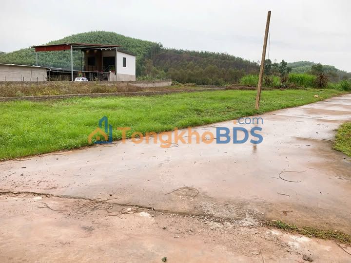 Đất nền Nghĩa Phương Lục Nam 800m² 7xx - Sổ đỏ chính chủ