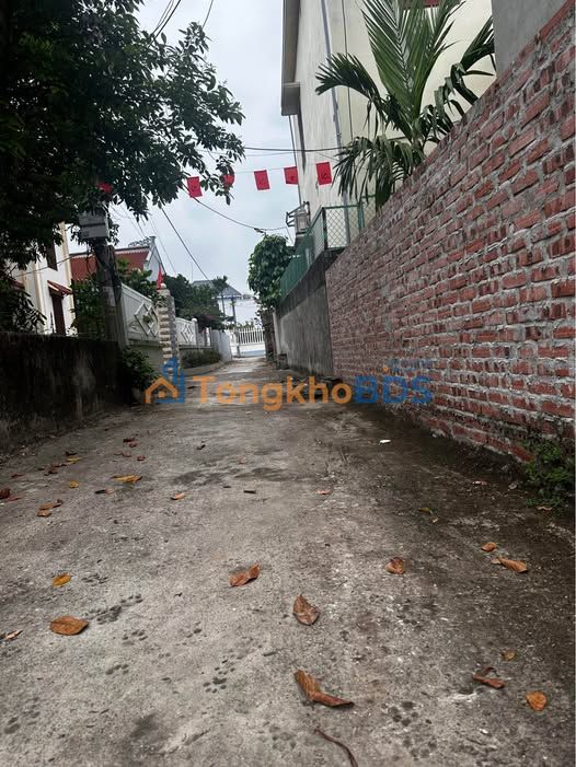 Đất nền Hùng Thắng Tiên Lãng 300m² - Tiềm năng tăng giá