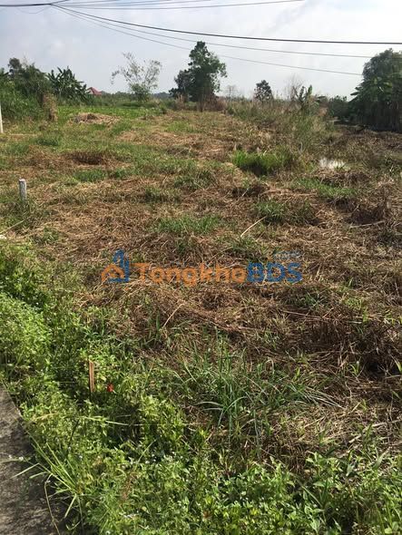 Đất nền Hòa An Cờ Đỏ 350m² 350 triệu - Pháp lý rõ ràng