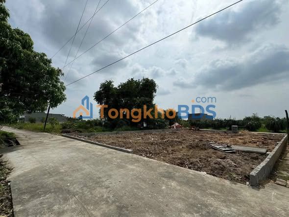 Đất Nền Phong Nẫm 244m² Full Thổ Cư - Giá 1.25 Tỷ, Xây Nhà Vườn Lý Tưởng