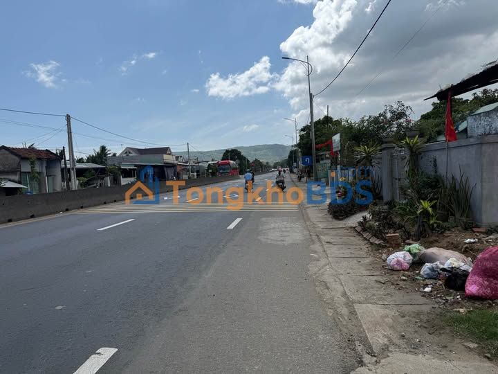 Đất Sổ Đỏ 428m² Xã Xuân Thọ 1, Sông Cầu - Giá Tốt Trước Tết