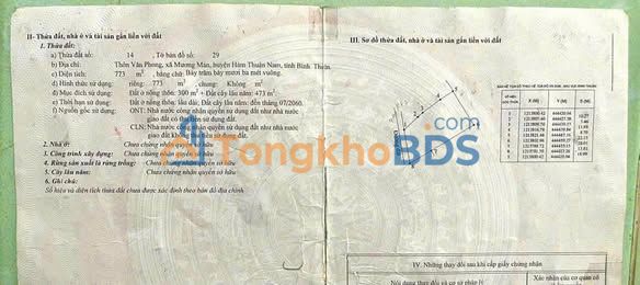 Đất nền Mương Mán 773m² 1.2 tỷ - Sổ đỏ chính chủ