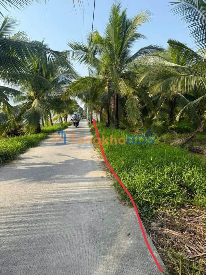 Đất nền Bến Tre Bình Phú 1500m² 7.5 tỷ - Đường to ô tô