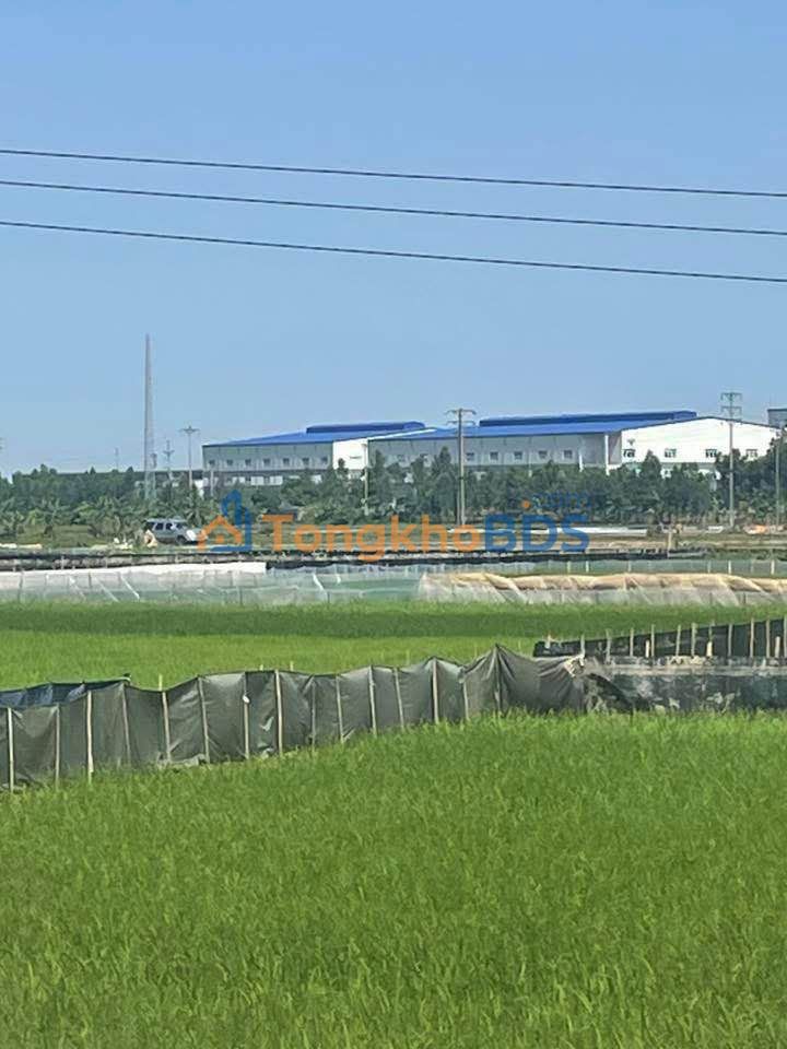 Đất Nghĩa An Hải Dương 80m2 4xx triệu - Sổ đỏ chính chủ