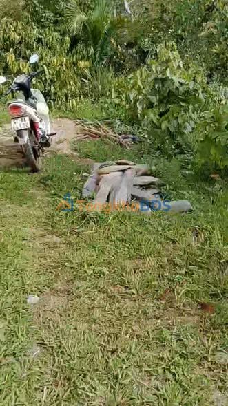 Đất cà phê Ea Nuôl 1.800m² 800.5 triệu - Sổ hồng sẵn