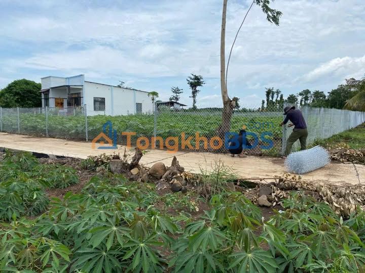 Đất Long Tân Long Điền 1500m² 1.6 tỷ - Sổ đỏ chính chủ