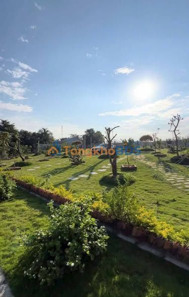 Farm Hàm Trí Quốc lộ 28 5.4k/m² - Sổ đỏ chính chủ, tiềm năng nghỉ dưỡng