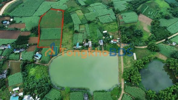 Đất Hợp Phong Cao Phong 7.000m² - Sổ đỏ chính chủ