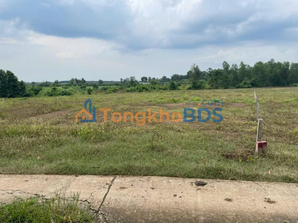 Đất nền Phước Bình Long Thành 1.000m² - Sổ hồng riêng