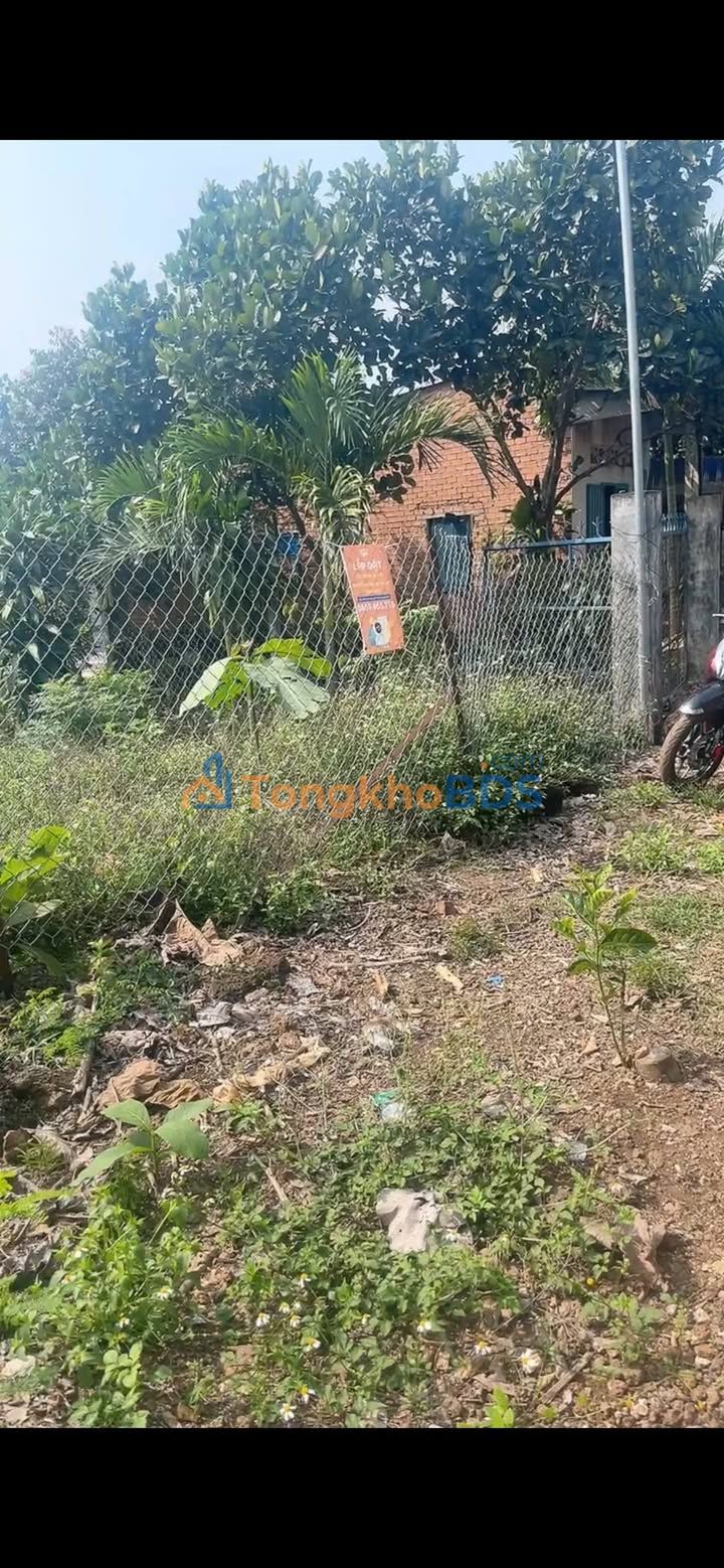 Đất nền Trà Cổ Tân Phú 360m² giá 850 triệu - Sổ đỏ chính chủ