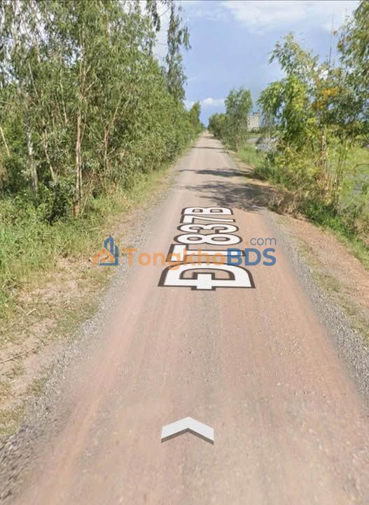Đất nền Vĩnh Châu B Long An 8.700m² 2,262 tỷ - Đường to ô tô