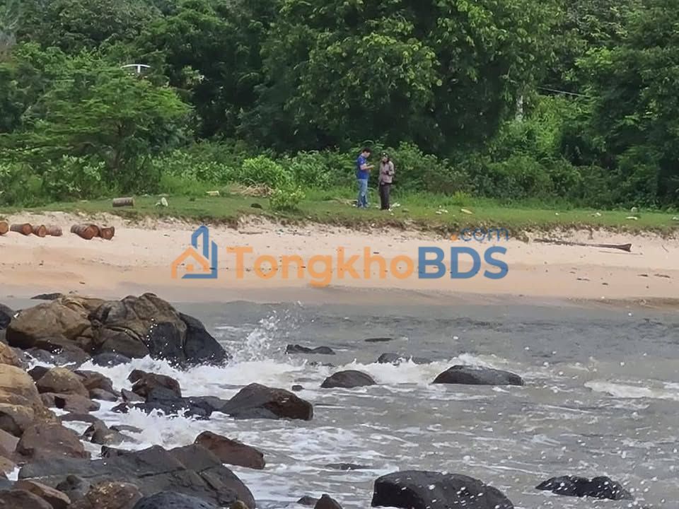 Đất Thôn Tây Ninh Vân 8.929m² - Tiềm năng tăng giá