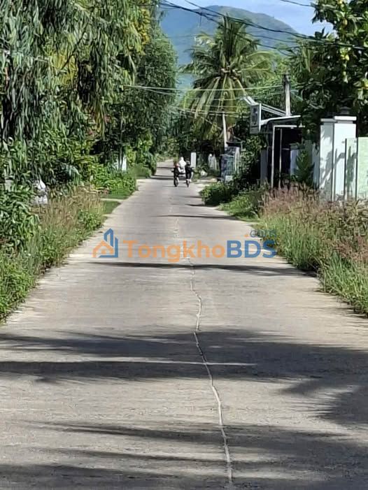 Đất Xuân Lộc Sông Cầu 301m² 8xx triệu - Sổ đỏ chính chủ