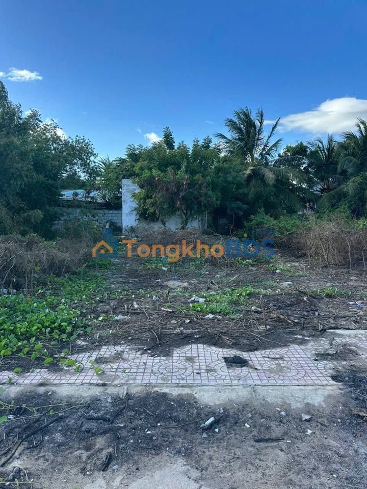 Đất nền Đông Hải Phan Rang 89m² 1,15 tỷ - Đường ô tô