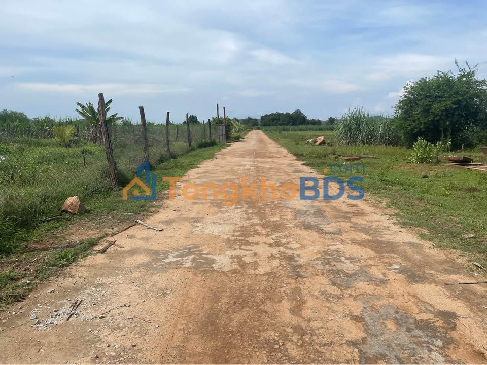 Đất HNK Mỹ Sơn Ninh Sơn 25.000m² 2.9 tỷ - Đường to ô tô