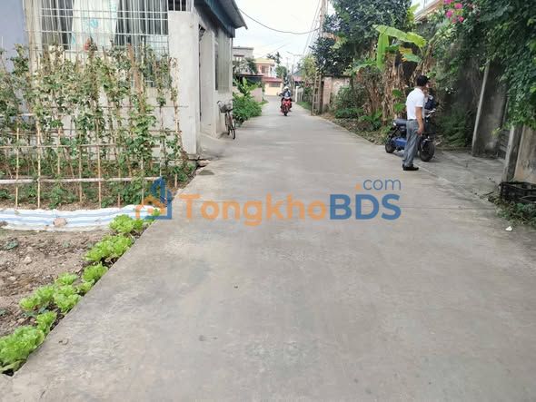 Đất thổ cư Hậu Chùa Liên Am 90m² 1 tỷ - Sổ đỏ chính chủ