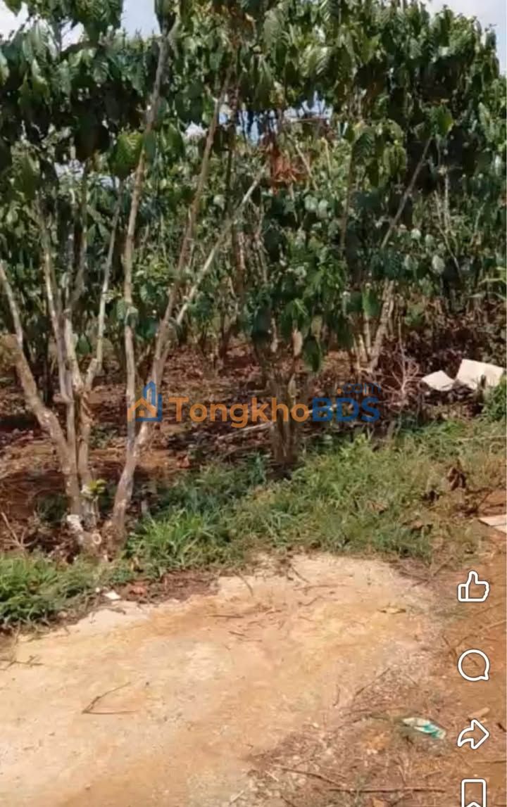 Đất nền Di Linh Đinh Trang Hòa 2.700m² 2.85 tỷ - Đường ô tô