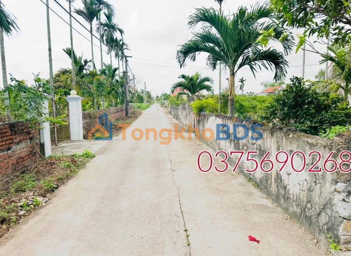 Đất nền Nga Thái Thanh Hóa 1.150m², Sổ đỏ chính chủ