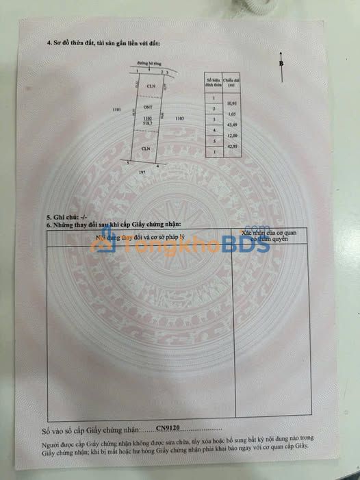 Đất nền Tân Tây Gò Công Đông 100m² 360tr - Sổ đỏ