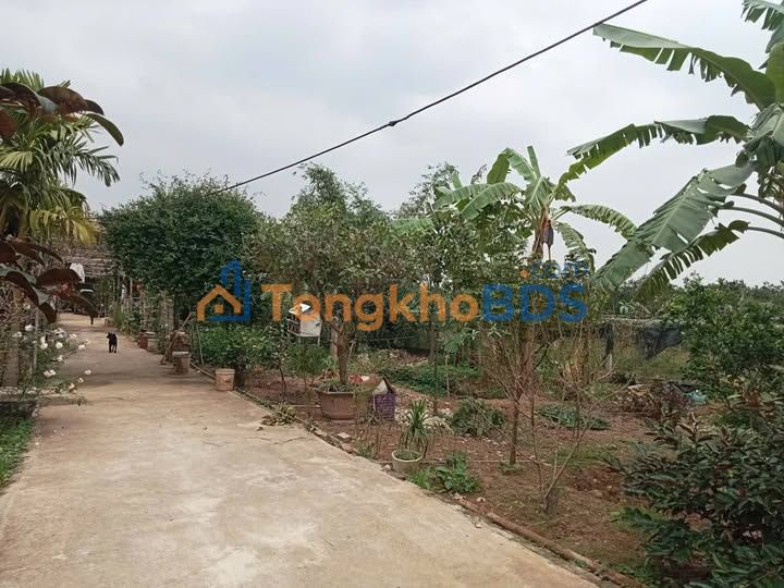 Đất vườn Linh Quy Đông 1456m² thỏa thuận - Sổ đỏ chính chủ