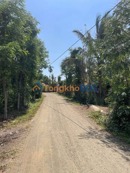 Đất trồng Ea Kao 792m² 2,2 tỷ - Đầu tư dài hạn