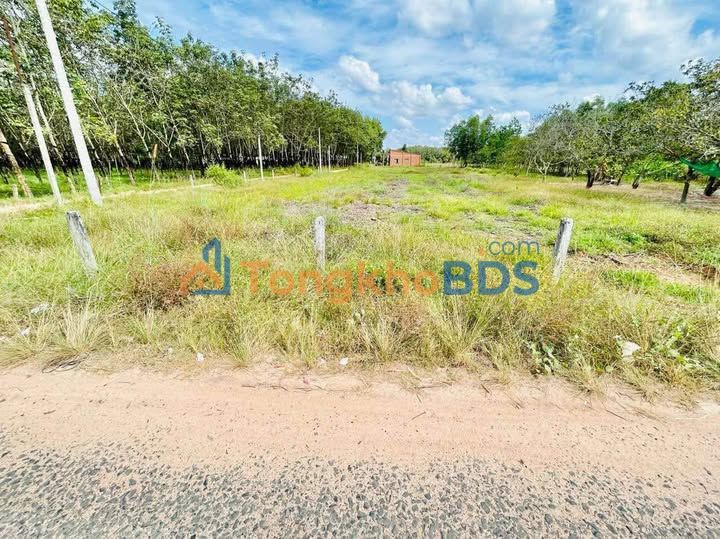 Đất nền Tân Bình Tân Biên 135m² 270 triệu - Sổ đỏ chính chủ