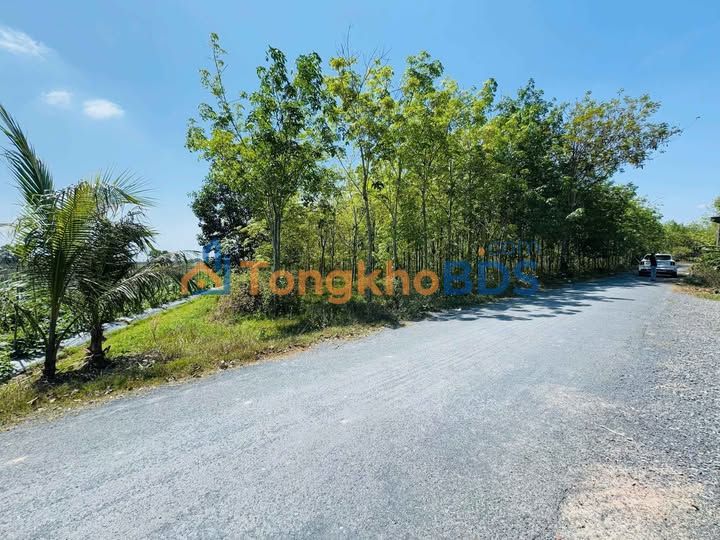 Đất vườn Hòa Thạnh, Châu Thành 1.170m²/300tr - Sổ đỏ