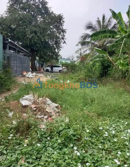 Đất Long An Hòa Phú 160m² 800tr - Đất thổ cư 100%