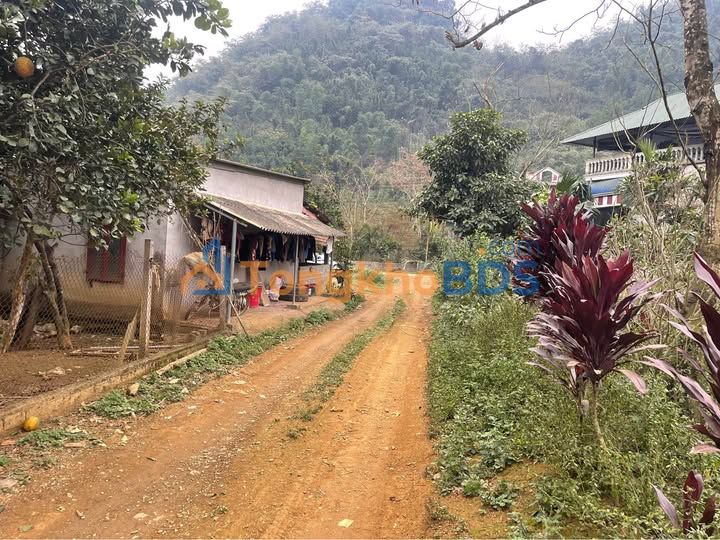 Đất Nền Tú Sơn, Kim Bôi 2000m² - Giá F0, Sẵn Sổ Hồng