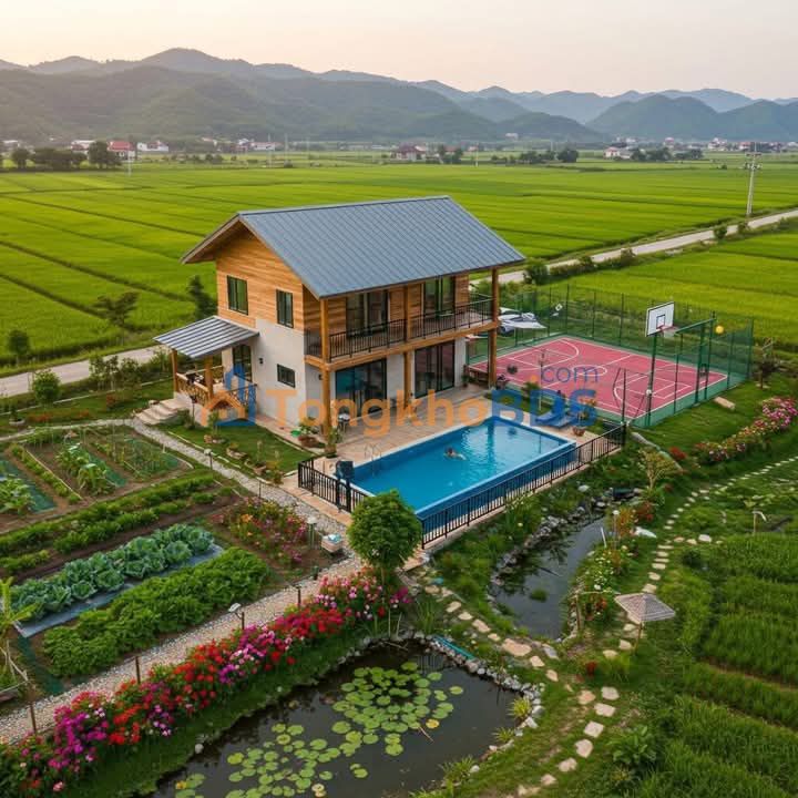 Đất nền Ven Biển Đồ Sơn 848m² giá thỏa thuận - Sổ đỏ chính chủ