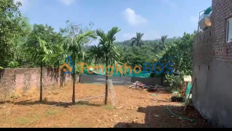 Bán gấp đất nền Hoài Đức 439m² Full thổ cư, tiềm năng sinh lời cao