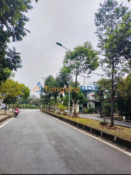 Đất nền Tuệ Tĩnh Hải Dương 128m² 6.4 tỷ - Sổ đỏ